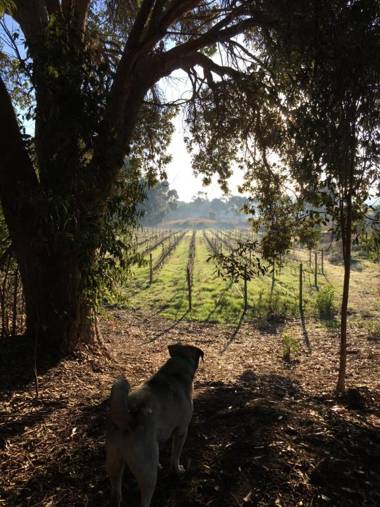 Stellar Overberg Travellers Lodge