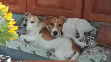 Admiralty Bed & Breakfast