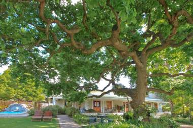 Montagu Vines Guesthouse