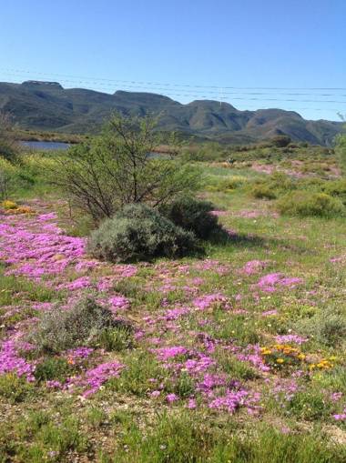 360on62 Farm Cottages