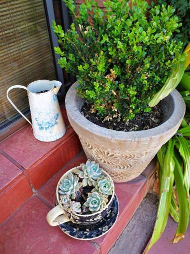 Ridderspoor Guesthouse