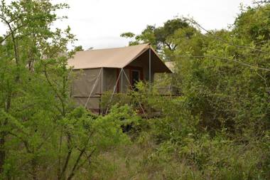 The Wild Olive Tree Camp