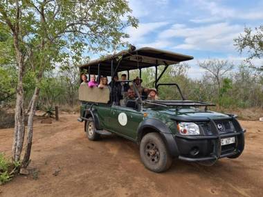 The Wild Olive Tree Camp