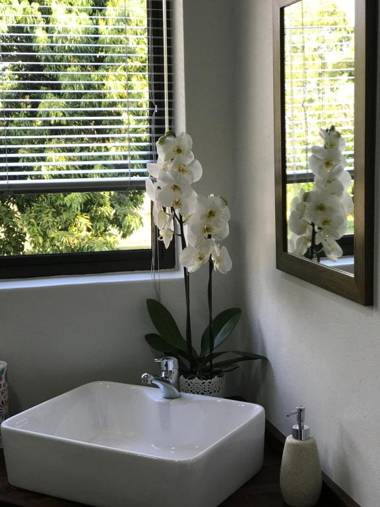 Cuckoos Nest Guest House