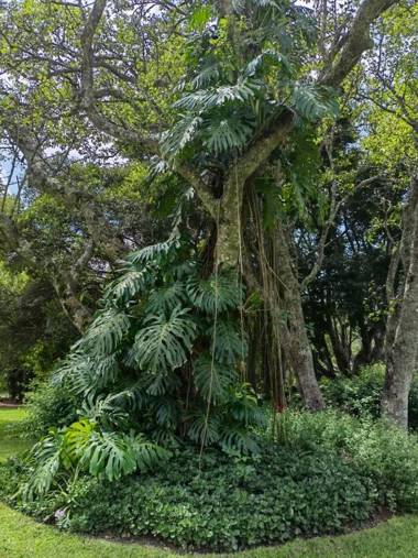 Avoca Vale Country Hotel