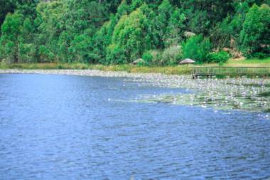 Harnham Mountain Lodge