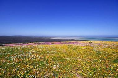 Glenfinnan Guest House