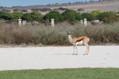 Langebaan Country Estate