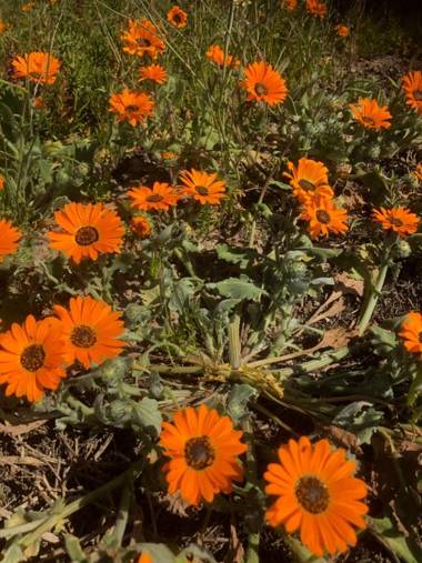 St Louis Self Catering