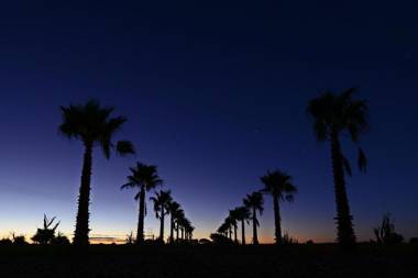 Jonkershoek Guest Farm
