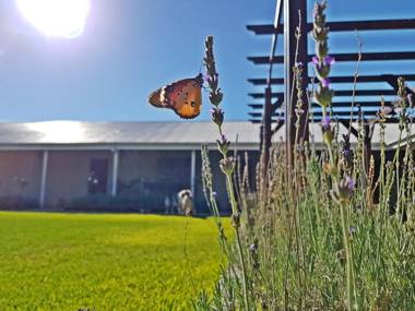Jonkershoek Guest Farm