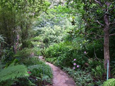 Foxwood House Boutique Hotel