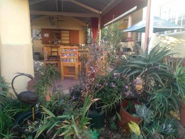 Sleepy Gecko Guest House