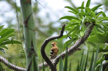 A Knights Rest Guesthouse