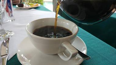 The Dorr Guest House