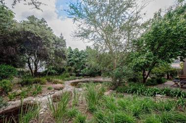 Wild Olive Executive Suite