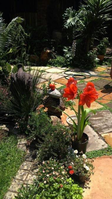 Breena BnB Guest House