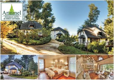 Hogsback Arminel Hotel