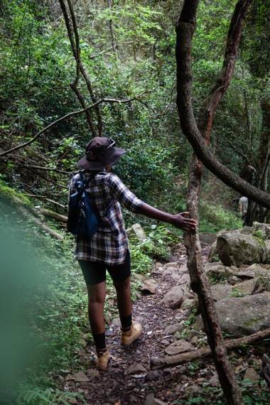 Away with the Fairies