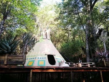 Magical Teepee Experience (The)