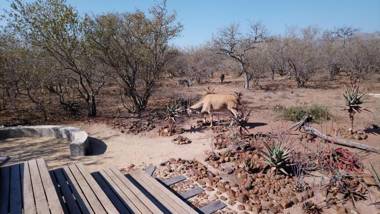 Wildlife Estate In Limpopo