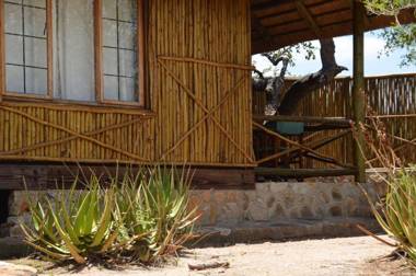 Moholoholo Mountain View