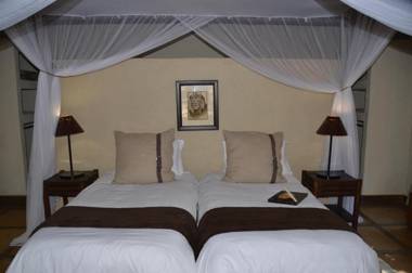 Moholoholo Forest Camp