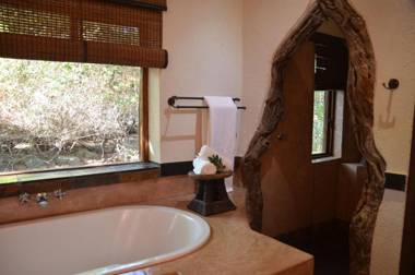 Moholoholo Forest Camp