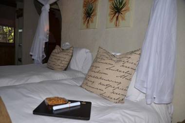 Moholoholo Forest Camp