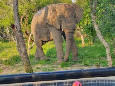 Rhino's Rest Luxury Self-catering Home