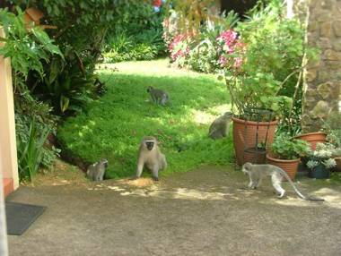 York House Guest House