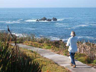 Smuts Ave. Guest Rooms