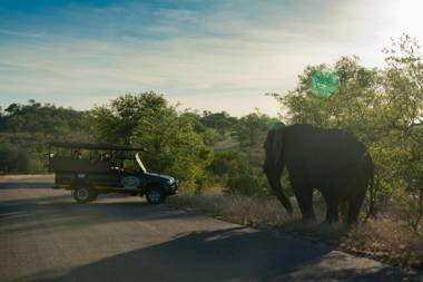 Kruger Adventure Lodge