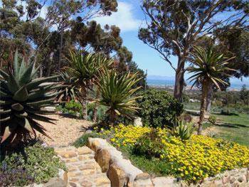 Apricot Gardens Guesthouse