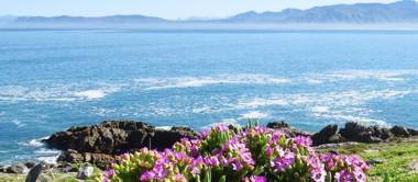 Kleinzee Oceanfront Guesthouse