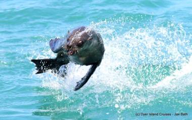 Gansbaai Seafront Holiday House - Our C-House