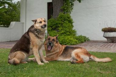 La Galiniere Guest Cottages