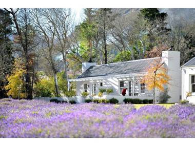 Lavender Farm Guest House