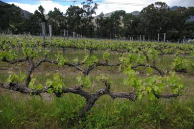 L'Auberge Chanteclair