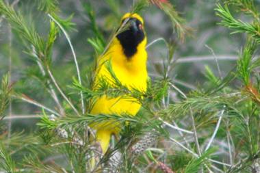 Roundhouse Guesthouse