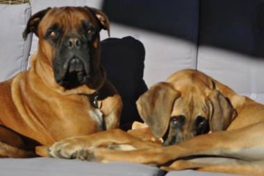 Roundhouse Guesthouse