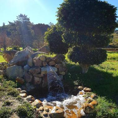 Topiary Wine Estate & Cottages