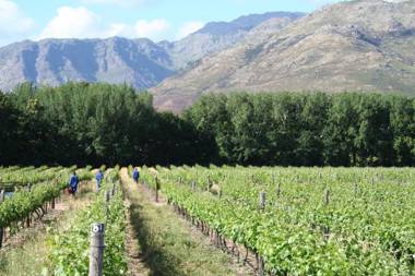 La Chataigne Wines & Guest Cottages