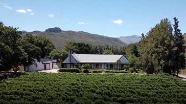 Lynx Wine Estate