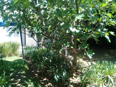 La Coscello Guest House