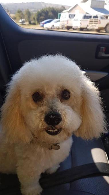 Riverview Guesthouse East London