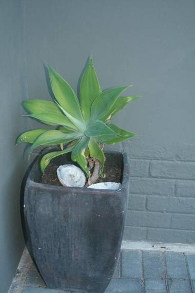 Nahoon Eco Lodge on Mackenzie