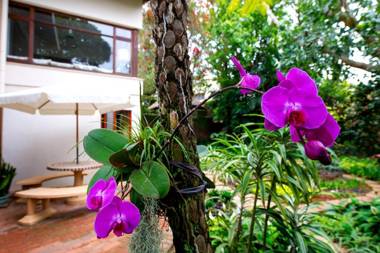 Oliveroom Self Catering and B&B