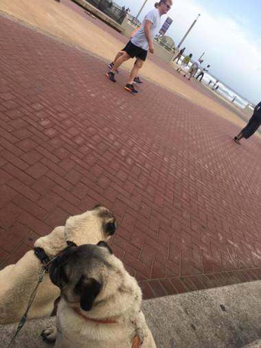 KADESE Holiday North Beach Durban