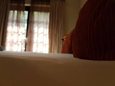 Fairview Bed And Breakfast - Double Bedroom 4